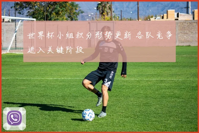 世界杯小组积分形势更新 各队竞争进入关键阶段