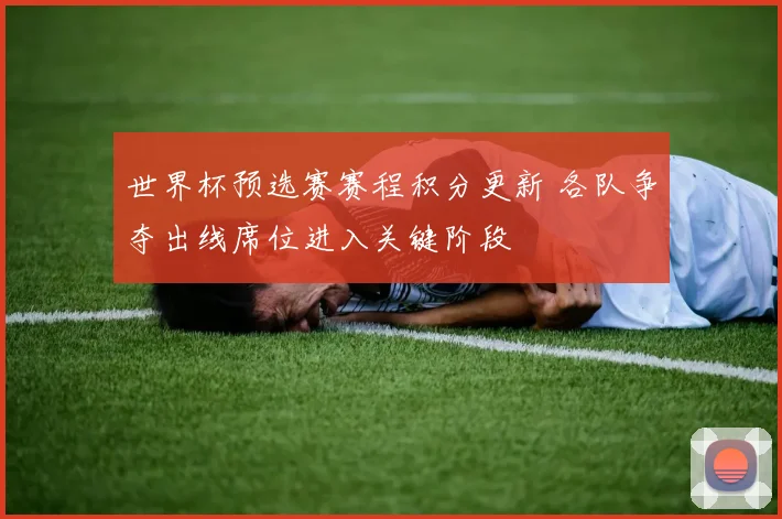 世界杯预选赛赛程积分更新 各队争夺出线席位进入关键阶段