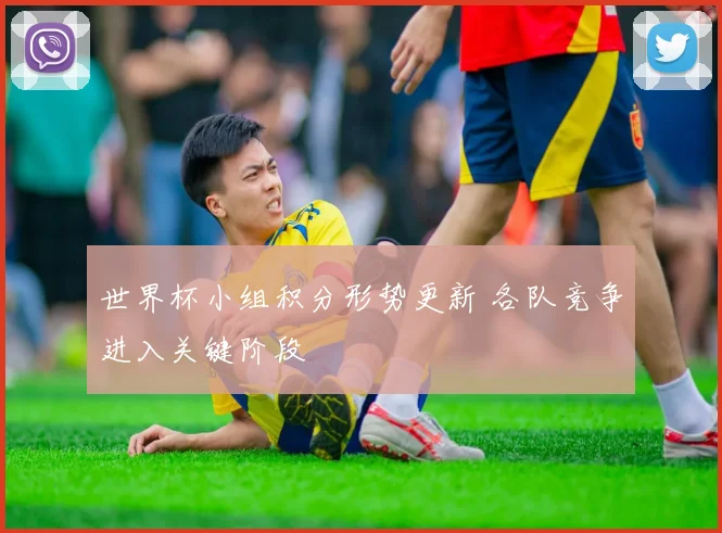 世界杯小组积分形势更新 各队竞争进入关键阶段