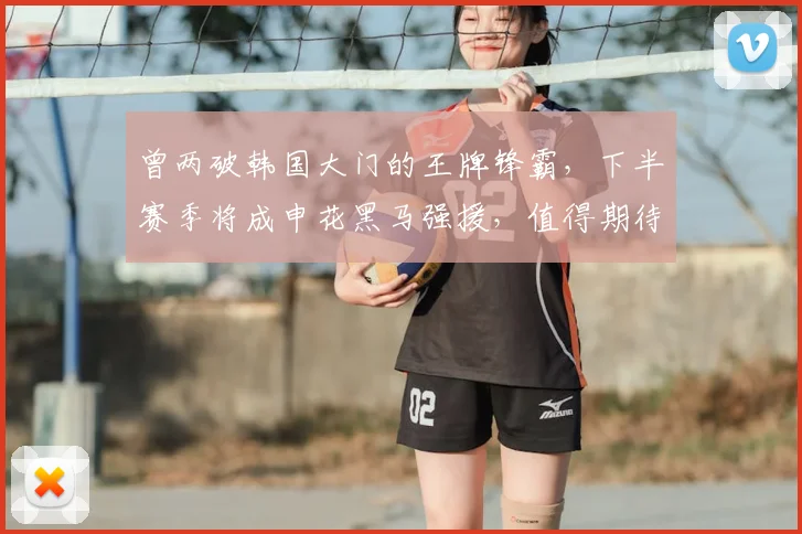曾两破韩国大门的王牌锋霸,下半赛季将成申花黑马强援,值得期待_刘诚宇_久尔杰维奇_前锋